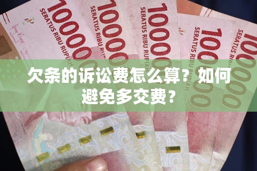 北京欠条的诉讼费怎么算？如何避免多交费？
